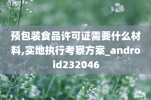 预包装食品许可证需要什么材料,实地执行考察方案_android232046