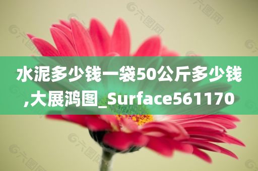 水泥多少钱一袋50公斤多少钱,大展鸿图_Surface561170