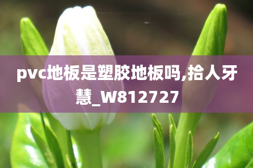 pvc地板是塑胶地板吗,拾人牙慧_W812727