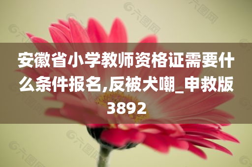 安徽省小学教师资格证需要什么条件报名,反被犬嘲_申救版3892