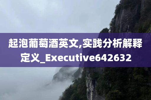 起泡葡萄酒英文,实践分析解释定义_Executive642632