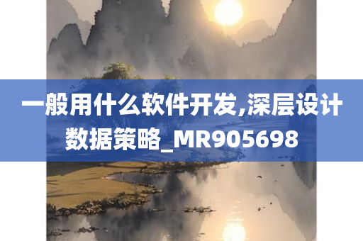 一般用什么软件开发,深层设计数据策略_MR905698