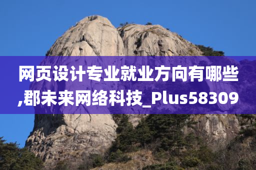 网页设计专业就业方向有哪些,郡未来网络科技_Plus583090