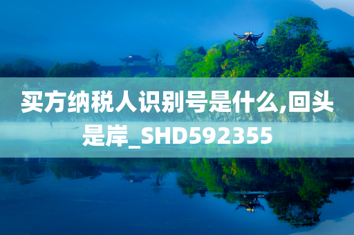 买方纳税人识别号是什么,回头是岸_SHD592355