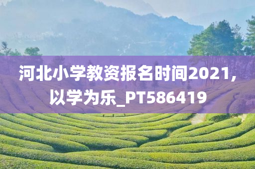 河北小学教资报名时间2021,以学为乐_PT586419