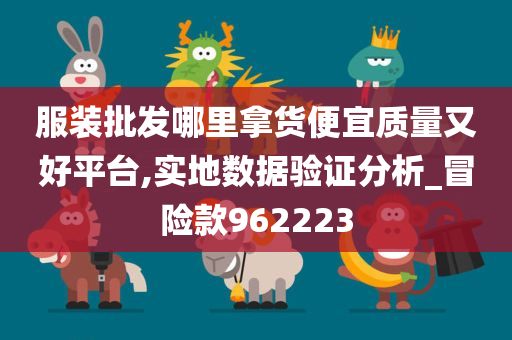 服装批发哪里拿货便宜质量又好平台,实地数据验证分析_冒险款962223