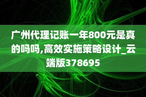 广州代理记账一年800元是真的吗吗,高效实施策略设计_云端版378695