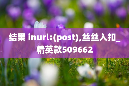 结果 inurl:(post),丝丝入扣_精英款509662