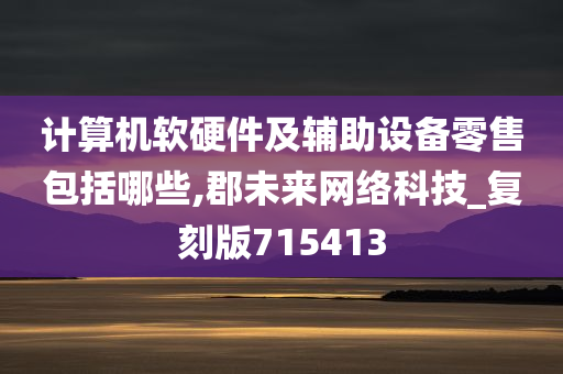 计算机软硬件及辅助设备零售包括哪些,郡未来网络科技_复刻版715413