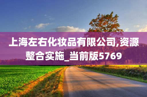 上海左右化妆品有限公司,资源整合实施_当前版5769