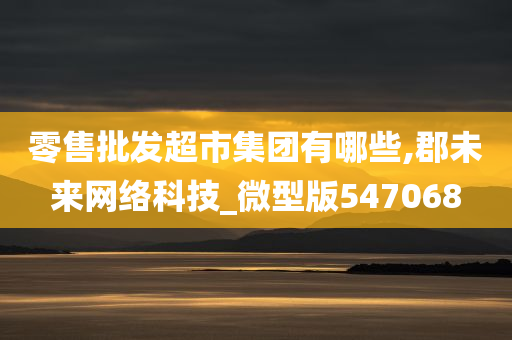 零售批发超市集团有哪些,郡未来网络科技_微型版547068