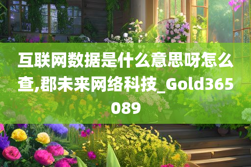 互联网数据是什么意思呀怎么查,郡未来网络科技_Gold365089