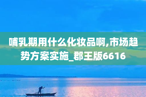 哺乳期用什么化妆品啊,市场趋势方案实施_郡王版6616