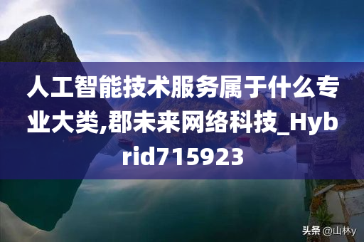 人工智能技术服务属于什么专业大类,郡未来网络科技_Hybrid715923