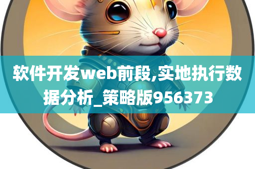 软件开发web前段,实地执行数据分析_策略版956373