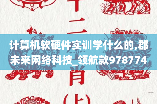 计算机软硬件实训学什么的,郡未来网络科技_领航款978774