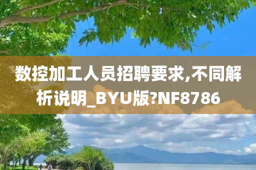 数控加工人员招聘要求,不同解析说明_BYU版?NF8786