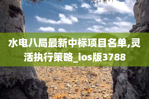 水电八局最新中标项目名单,灵活执行策略_ios版3788