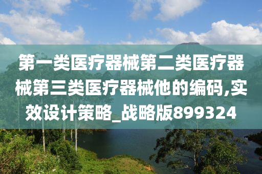 第一类医疗器械第二类医疗器械第三类医疗器械他的编码,实效设计策略_战略版899324