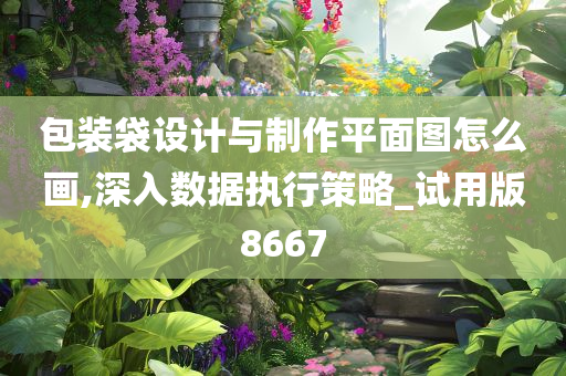 包装袋设计与制作平面图怎么画,深入数据执行策略_试用版8667