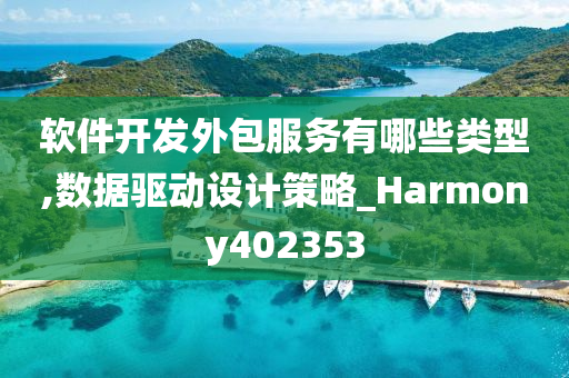 软件开发外包服务有哪些类型,数据驱动设计策略_Harmony402353