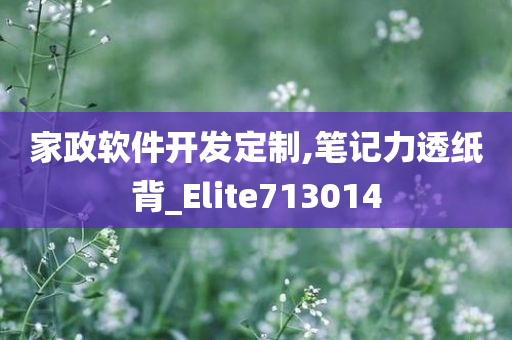 家政软件开发定制,笔记力透纸背_Elite713014