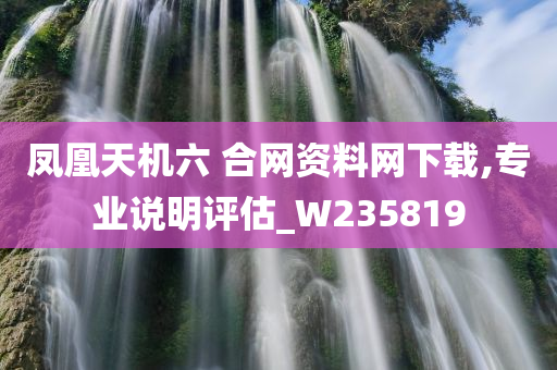 凤凰天机六 合网资料网下载,专业说明评估_W235819