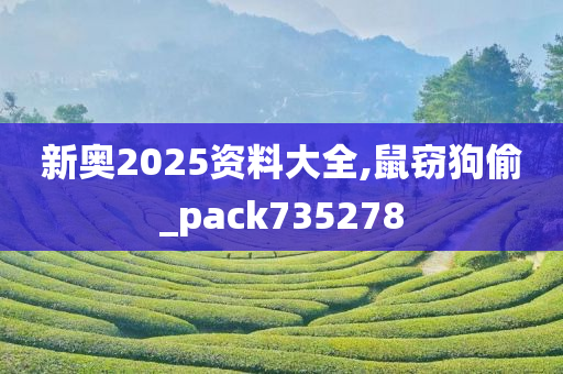 新奥2025资料大全,鼠窃狗偷_pack735278