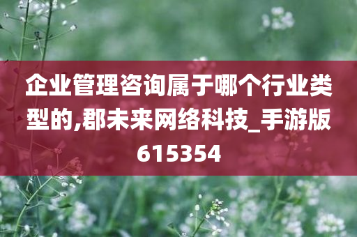 企业管理咨询属于哪个行业类型的,郡未来网络科技_手游版615354