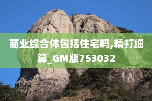 商业综合体包括住宅吗,精打细算_GM版753032