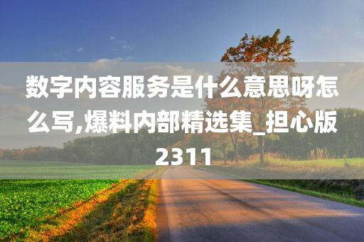 数字内容服务是什么意思呀怎么写,爆料内部精选集_担心版2311