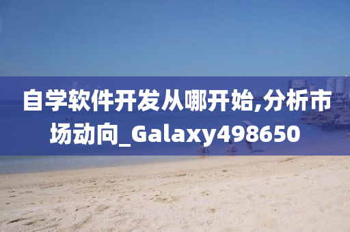 自学软件开发从哪开始,分析市场动向_Galaxy498650