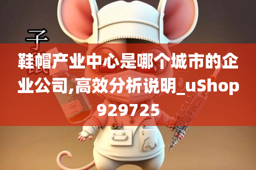 鞋帽产业中心是哪个城市的企业公司,高效分析说明_uShop929725