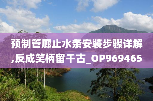 预制管廊止水条安装步骤详解,反成笑柄留千古_OP969465