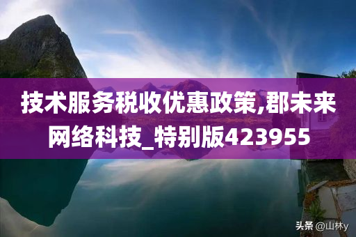 技术服务税收优惠政策,郡未来网络科技_特别版423955