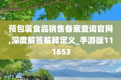 预包装食品销售备案查询官网,深度解答解释定义_手游版111653