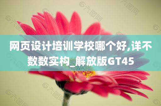 网页设计培训学校哪个好,详不数数实构_解放版GT45