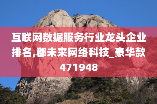 互联网数据服务行业龙头企业排名,郡未来网络科技_豪华款471948