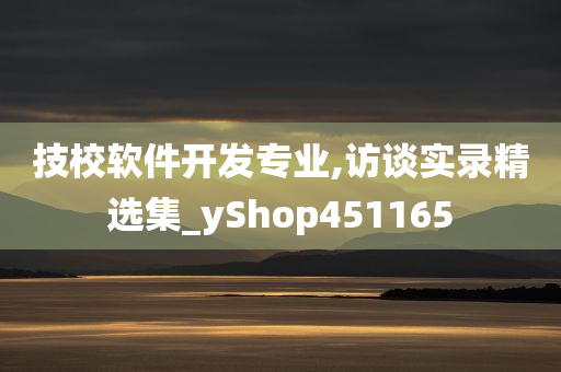 技校软件开发专业,访谈实录精选集_yShop451165