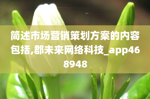 简述市场营销策划方案的内容包括,郡未来网络科技_app468948