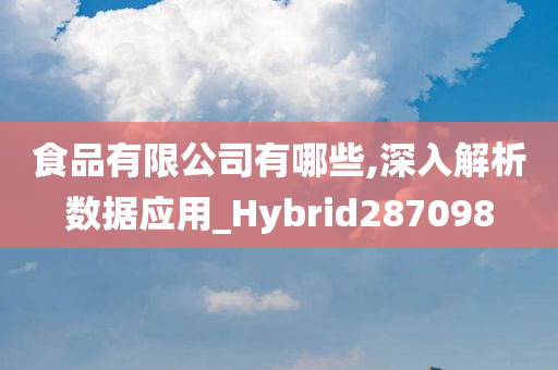 食品有限公司有哪些,深入解析数据应用_Hybrid287098