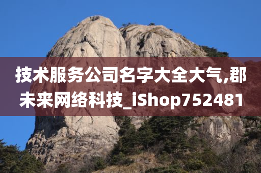 技术服务公司名字大全大气,郡未来网络科技_iShop752481