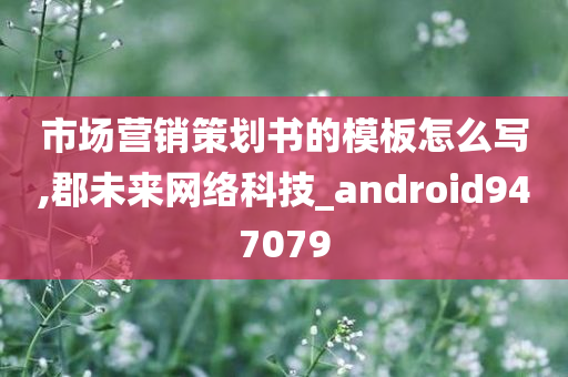 市场营销策划书的模板怎么写,郡未来网络科技_android947079