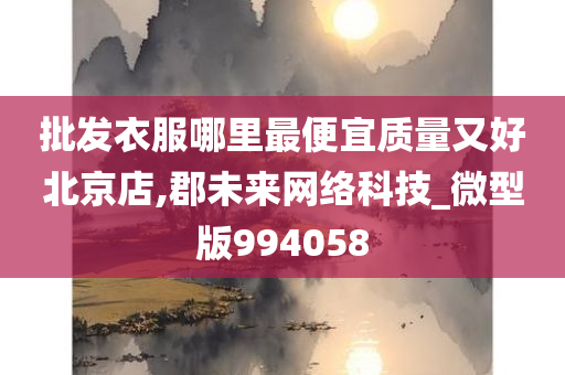 批发衣服哪里最便宜质量又好北京店,郡未来网络科技_微型版994058