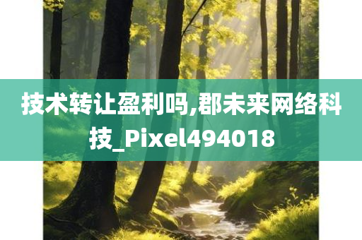 技术转让盈利吗,郡未来网络科技_Pixel494018