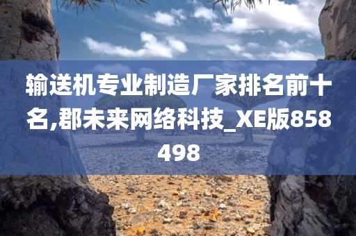 输送机专业制造厂家排名前十名,郡未来网络科技_XE版858498