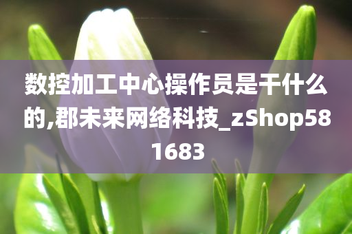 数控加工中心操作员是干什么的,郡未来网络科技_zShop581683