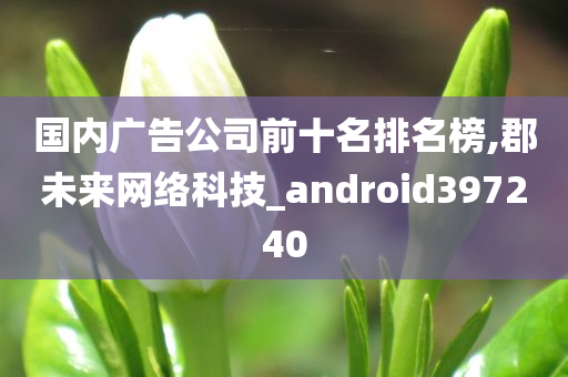 国内广告公司前十名排名榜,郡未来网络科技_android397240