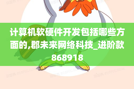 计算机软硬件开发包括哪些方面的,郡未来网络科技_进阶款868918