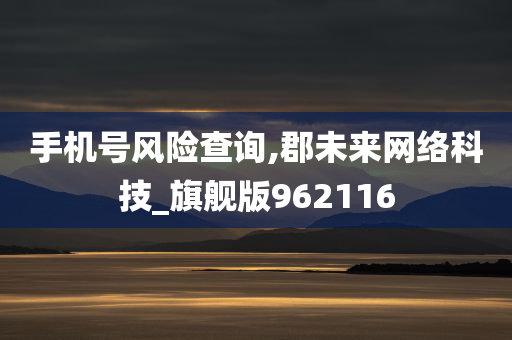 手机号风险查询,郡未来网络科技_旗舰版962116